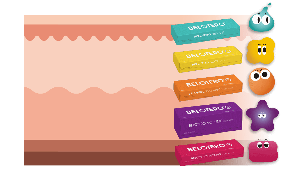 Belotero 保柔緹全系列產品分層示意圖，從表皮層到骨骼層