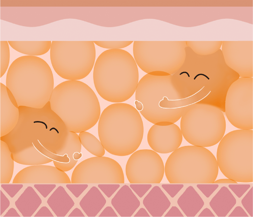 保柔緹仿生玻尿酸特色說明圖